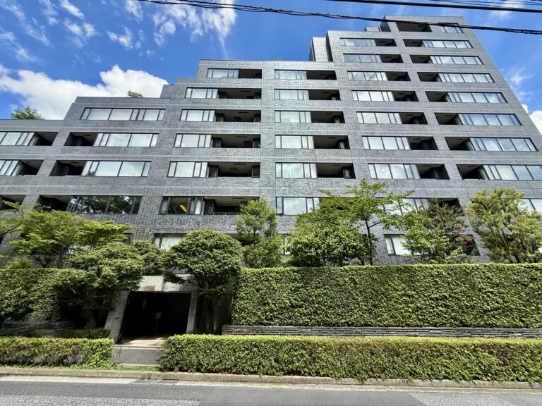 南青山テラス常盤松フォレストの写真 2